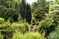 Plants and trees by the pond in Regent Park in London Royalty Free Stock Photo