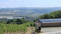 Vineyard and barn on a sunny day by the Moselle, Luxembourg