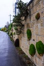 Plants on a wall in a Botanical Garden in Geneva Royalty Free Stock Photo