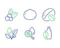 Plants watering, Water analysis and Soy nut icons set. Christmas holly, Macadamia nut and Water bottle signs. Vector