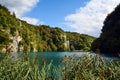 Plants and Waters of Plitvice Lakes National Park, Croatia Royalty Free Stock Photo