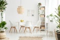 Plants in white dining room