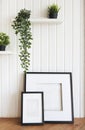 Plants on white shelves on white wall in the room