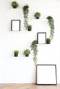 Plants on white shelves on white wall in the room