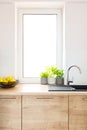 Plants on wooden countertop in bright kitchen interior with wind Royalty Free Stock Photo