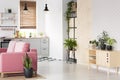 Plants on wooden cupboard in white flat interior with pink sofa next to kitchenette. Real photo