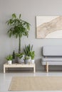 Plants on wooden table next to grey sofa in scandi living room i