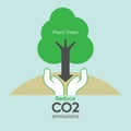 Plant Tree Reduce CO2