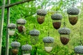 Planty of hanging bird feeders in shape of acorn full of different grain against forest background