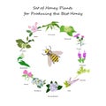 Planty set for produsing the best honey Royalty Free Stock Photo