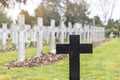 Black cross grave maker standing in cemetery, white crosses on background, tomb, planty tombstone