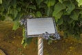 Plaque of the monument to the cartoon character `Kitten from Lizyukov Street` in Voronezh on Lizyukov Street.