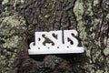 A plaque with the name of Jesus on the bark of a tree Royalty Free Stock Photo