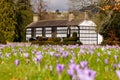 Plas Newydd Llangollen