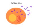 Plasma cell icon