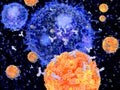 Plasma cells B-cells segregate specific antibodies to mark an subsequently destroy viruses influenza viruses