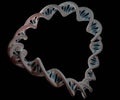 A plasmid is a small circular DNA molecule found in bacteria