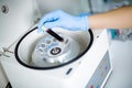 Plasmolifting. Preparation of blood for injections. cosmetologist puts tube of blood in centrifuge