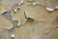 Plaster Bulges Royalty Free Stock Photo