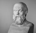 Plaster bust of Socrates