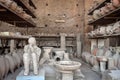 Plaster cast of the body of `the Muleteer` surrounded by broken pottery in the former Forum Granary at Pompeii, Italy