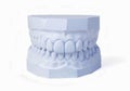 Plaster cast of set of teeth Royalty Free Stock Photo