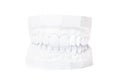 Plaster cast of teeth Royalty Free Stock Photo