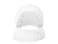 Plaster cast of teeth Royalty Free Stock Photo