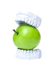 Plaster cast of teeth with green apple Royalty Free Stock Photo
