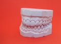 Plaster cast of teeth Royalty Free Stock Photo