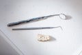 Plaster cast of teeth, tooth explorer and dental mirror