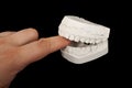 Plaster jaw Royalty Free Stock Photo