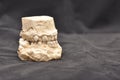Plaster model or cast of human teeth. Strongly crooked teeth Royalty Free Stock Photo