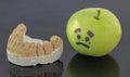 Plaster model of lower teeth next to crying green apple Royalty Free Stock Photo