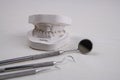 Plaster model  of teeth and different dental instruments Royalty Free Stock Photo