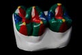 Plaster model of two molar teeth, painted