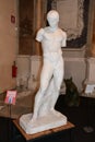 Plastercast of Ancient Roman Statue, University Plaster Casts Collection, Pisa, Tuscany, Italy