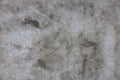 Plastered grey concrete wall surface as a seamless texture and full frame background Royalty Free Stock Photo