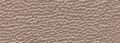 Plastered painted wall texture background, beige brown color, banner