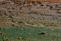 A plastered surface of a dam on which water is passing. The algae or moss on that surface create beautiful textured image.