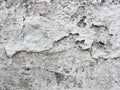 Background, surface texture. a layer of white peeling paint on rough gray concrete, cement, plastered wall. Royalty Free Stock Photo