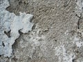 Background, surface texture. a layer of white peeling paint on rough gray concrete, cement, plastered wall. Royalty Free Stock Photo