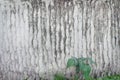 Plastering the concrete wall in seamless rough patterns with natural plants and grass ,white or gray abstract for background in Royalty Free Stock Photo