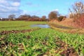 Plastic pollution on an acre with wheat crops Royalty Free Stock Photo