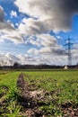 Plastic pollution on an acre with wheat crops Royalty Free Stock Photo