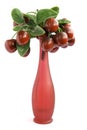 Plastic artificial cherries