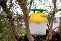 Plastic asian bumblebee trap in europe to stop insect invasion