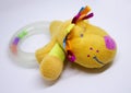 Plastic baby rattle with dog`s head Royalty Free Stock Photo