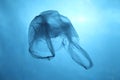 Plastic bag in blue water, garbage under water, plastic pollution of the oceans Royalty Free Stock Photo