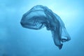 Plastic bag in blue water, garbage under water, plastic pollution of the oceans Royalty Free Stock Photo